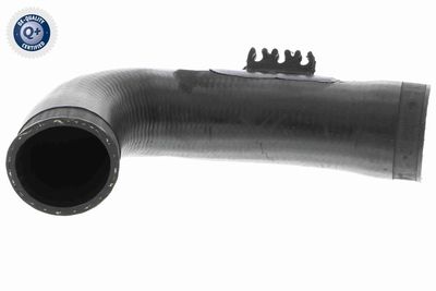 Charge Air Hose VAICO V10-3771