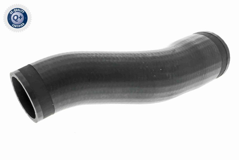 VAICO V10-3773 Charge Air Hose