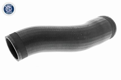 Charge Air Hose VAICO V10-3773