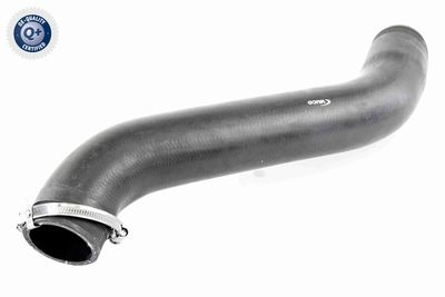 Charge Air Hose VAICO V10-3781