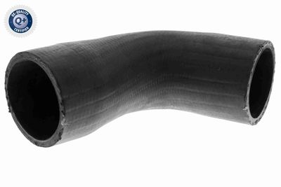 Charge Air Hose VAICO V10-3789
