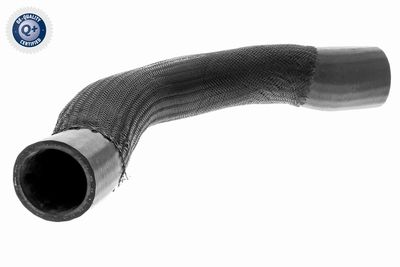 Charge Air Hose VAICO V10-3795