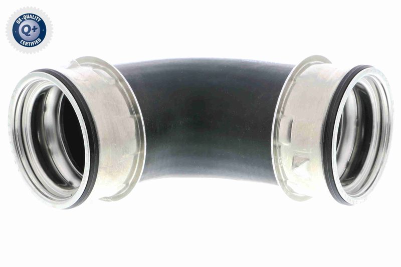 VAICO V10-3800 Charge Air Hose