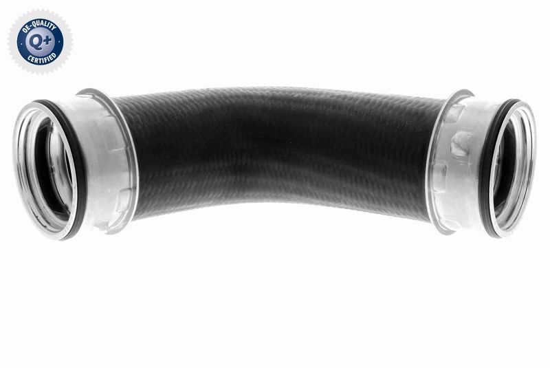 VAICO V10-3801 Charge Air Hose