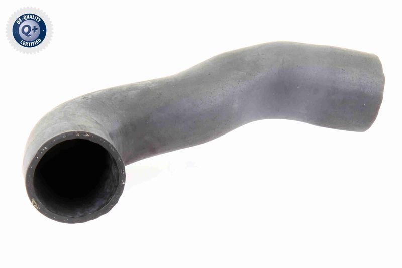 VAICO V10-3804 Charge Air Hose