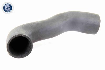Charge Air Hose VAICO V10-3804