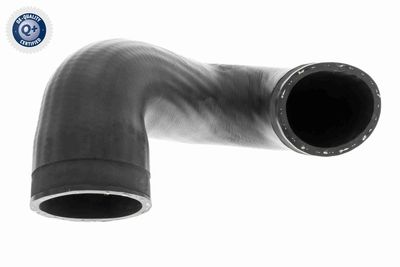 Charge Air Hose VAICO V10-3813