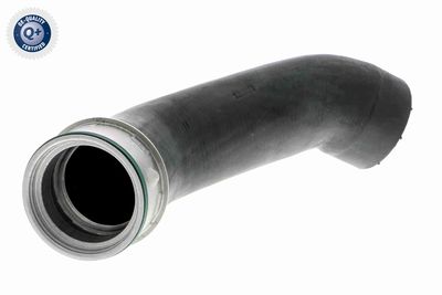 Charge Air Hose VAICO V10-3814