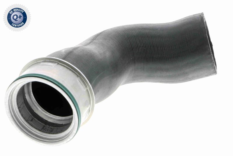 VAICO V10-3816 Charge Air Hose