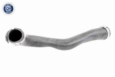 Charge Air Hose VAICO V10-3817