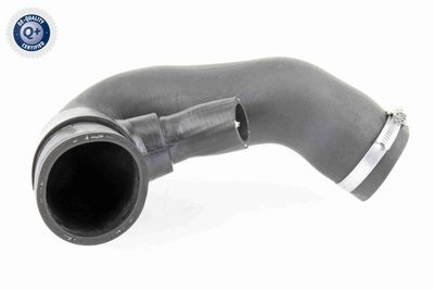 Charge Air Hose VAICO V10-3823