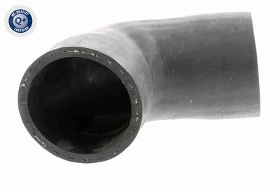 Charge Air Hose VAICO V10-3824