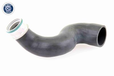 Charge Air Hose VAICO V10-3825