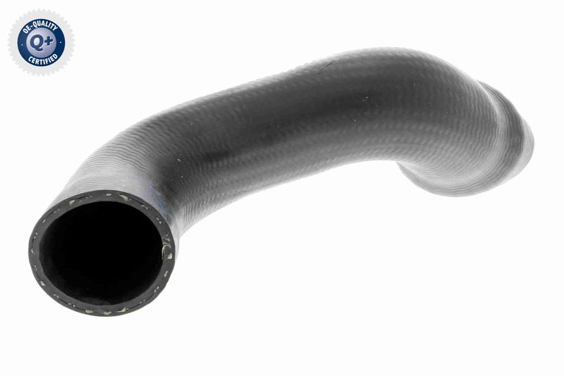 VAICO V10-3828 Charge Air Hose