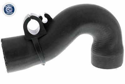 Charge Air Hose VAICO V10-3829