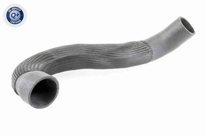 Charge Air Hose VAICO V10-3833