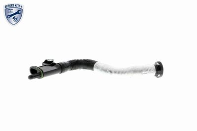 Hose, crankcase ventilation VAICO V10-3879