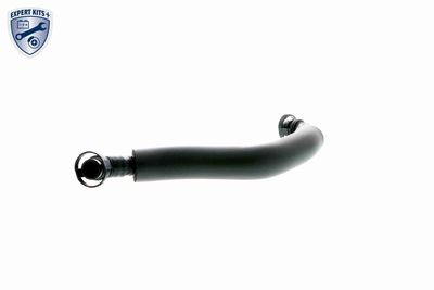 Hose, crankcase ventilation VAICO V10-3880