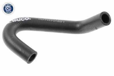 Radiator Hose VAICO V10-3911