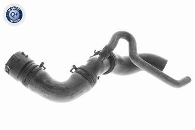 Radiator Hose VAICO V10-3915