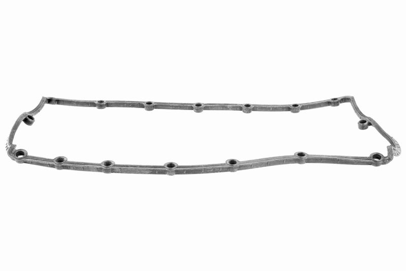 VAICO V10-4067 Gasket, cylinder head cover