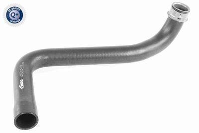 Radiator Hose VAICO V10-4336