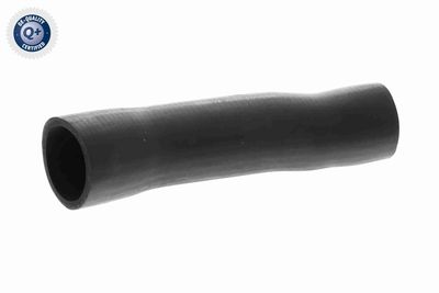 Charge Air Hose VAICO V10-4373