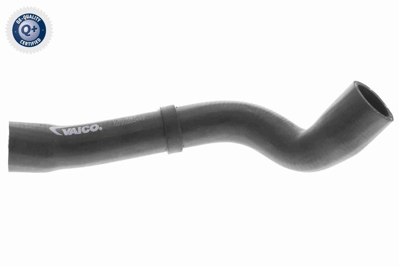 VAICO V10-4667 Radiator Hose