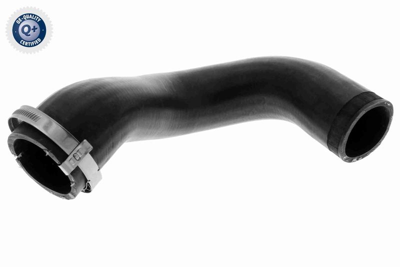 VAICO V10-4816 Charge Air Hose