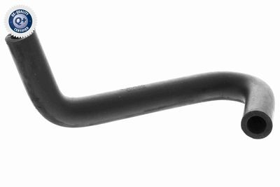 Hose, crankcase ventilation VAICO V10-4850