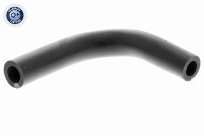 Hose, crankcase ventilation VAICO V10-4851
