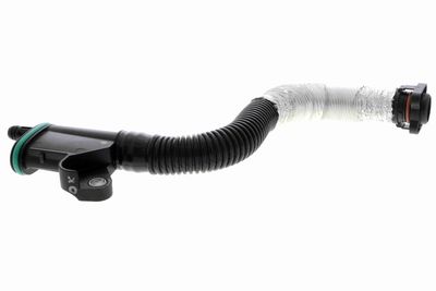 Hose, crankcase ventilation VAICO V10-4854