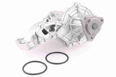 Water Pump, engine cooling VAICO V10-50039