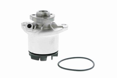 Water Pump, engine cooling VAICO V10-50040