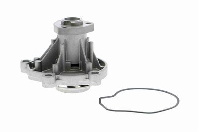 Water Pump, engine cooling VAICO V10-50059