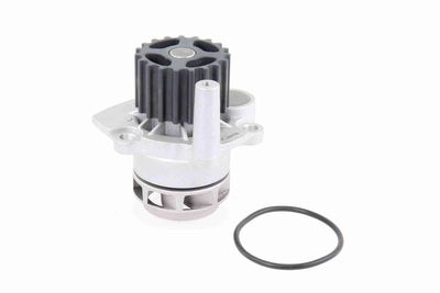 Water Pump, engine cooling VAICO V10-50060