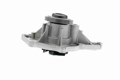 Water Pump, engine cooling VAICO V10-50066