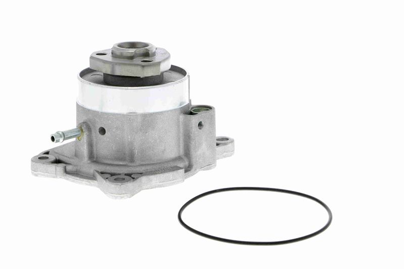 VAICO V10-50081 Water Pump, engine cooling