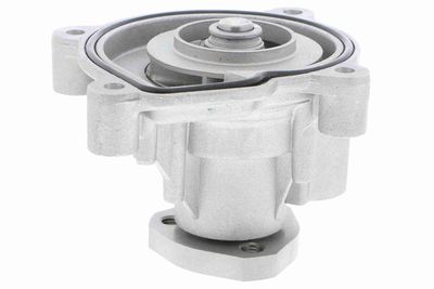 Water Pump, engine cooling VAICO V10-50084