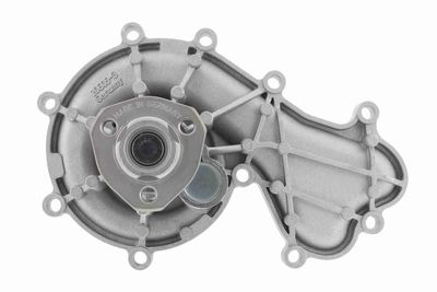 Water Pump, engine cooling VAICO V10-50095