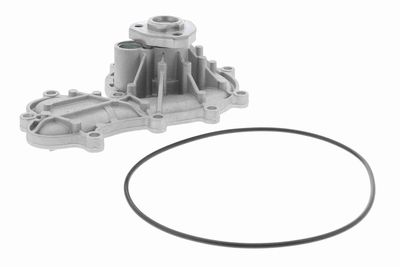 Water Pump, engine cooling VAICO V10-50096
