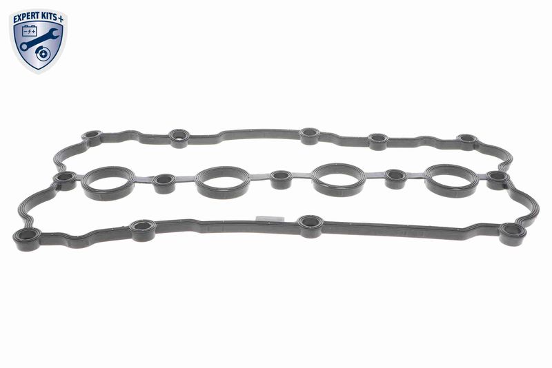 VAICO V10-5163 Gasket, cylinder head cover