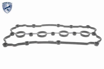 Gasket, cylinder head cover VAICO V10-5163
