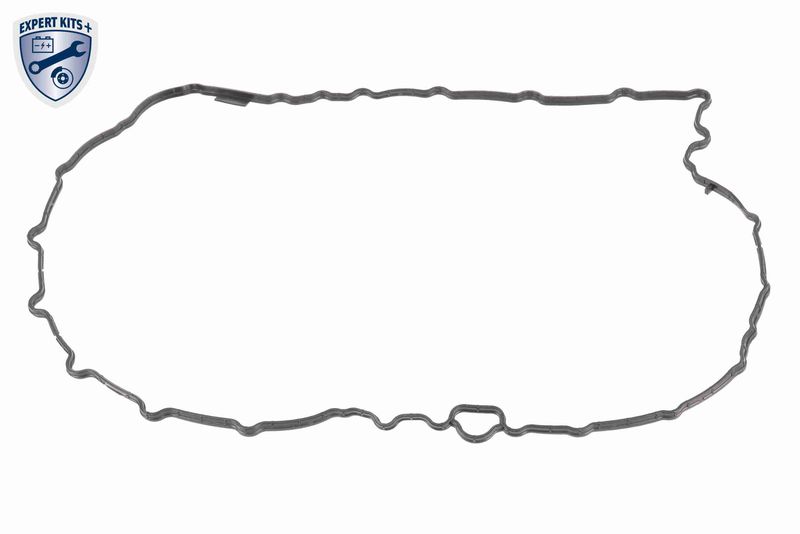 VAICO V10-5396 Gasket, automatic transmission oil sump
