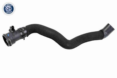 Radiator Hose VAICO V10-5532