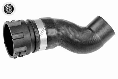 Radiator Hose VAICO V10-5536