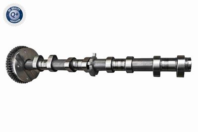 Camshaft Adjuster VAICO V10-5584