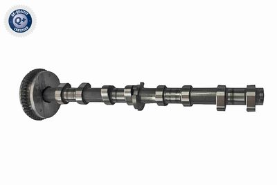 Camshaft Adjuster VAICO V10-5585