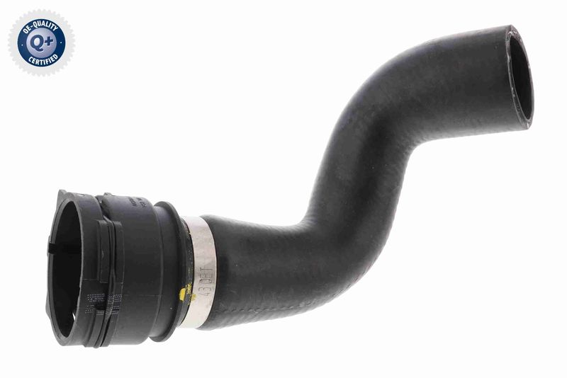 VAICO V10-5754 Radiator Hose
