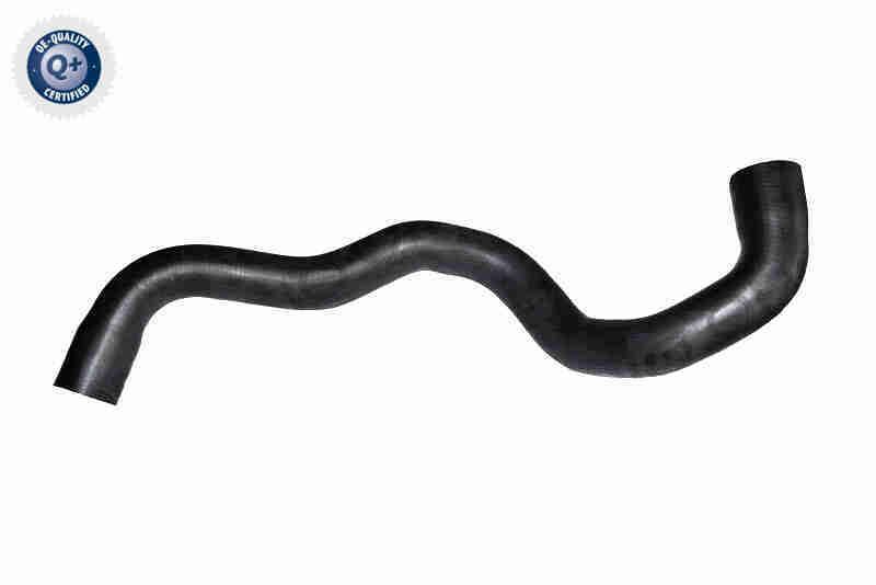 VAICO V10-7562 Radiator Hose